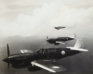 Warbirds in Modern Aviation